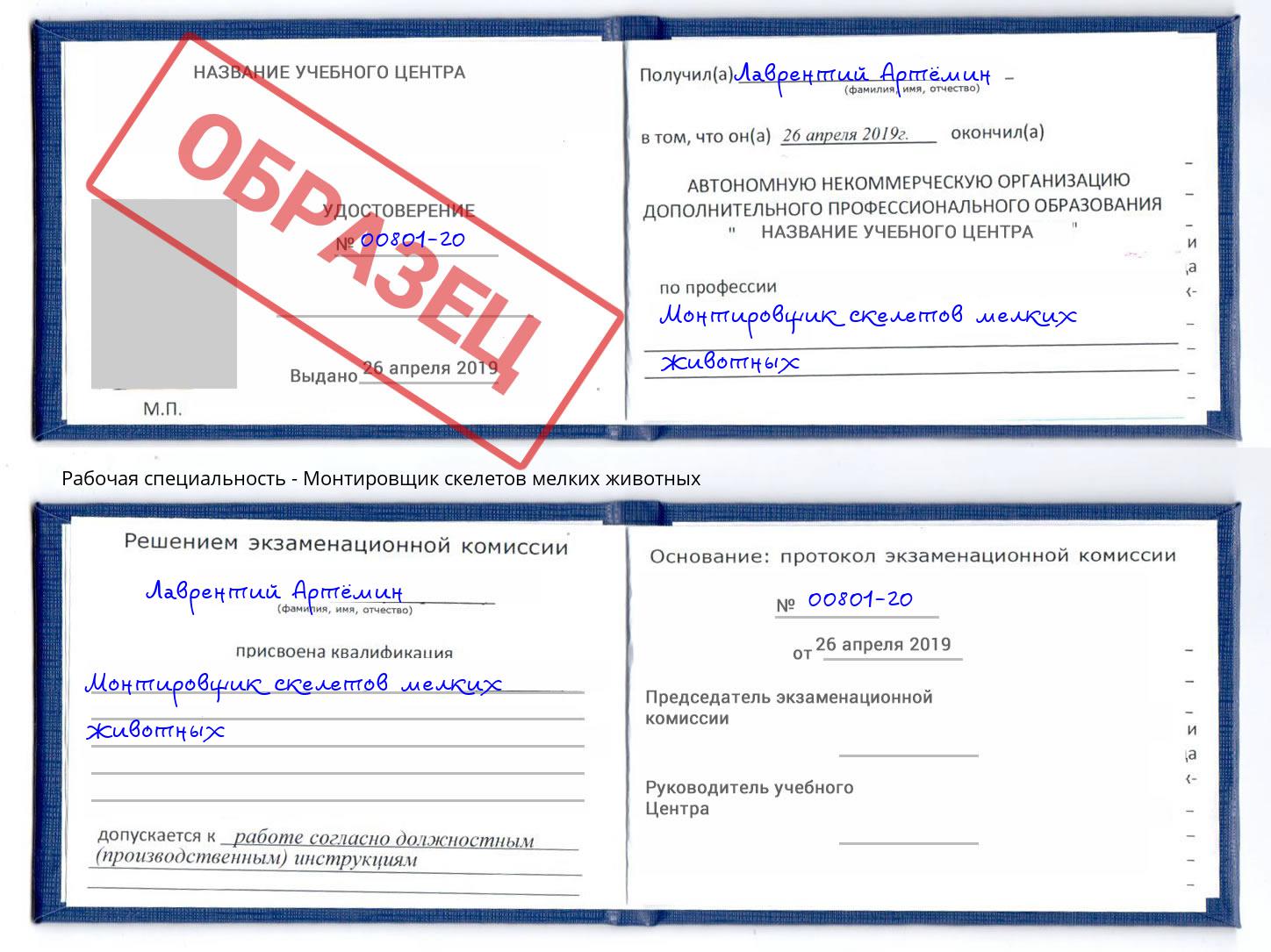 Монтировщик скелетов мелких животных Тамбов