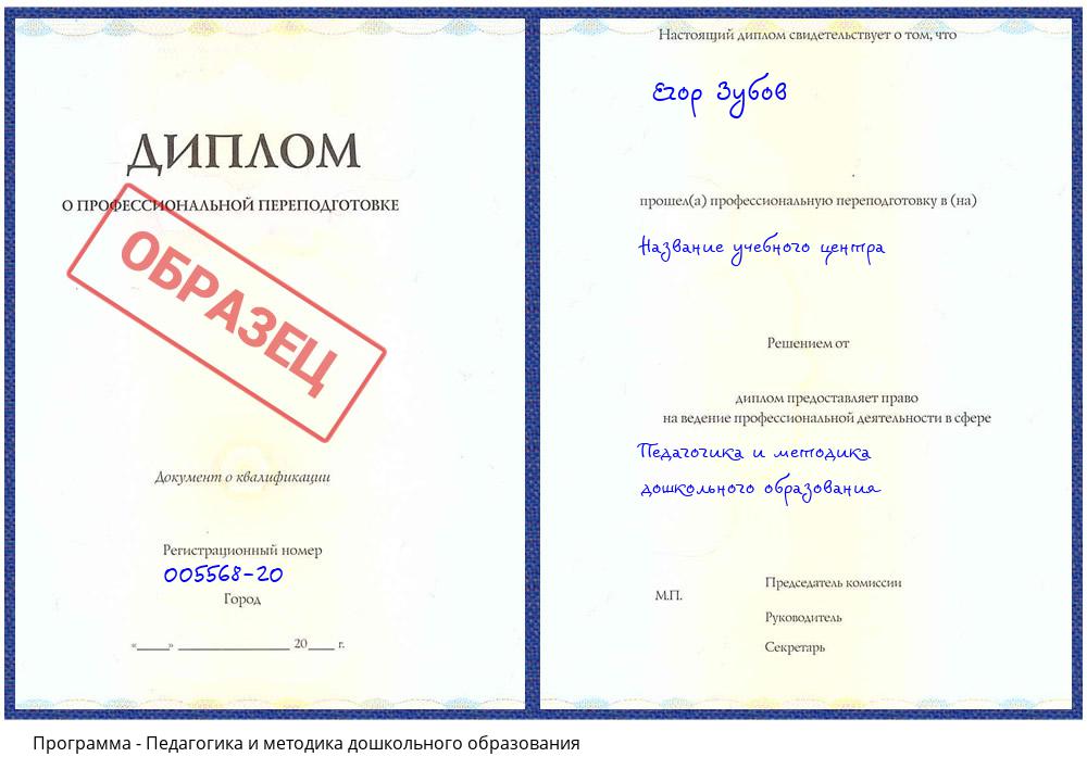 Педагогика и методика дошкольного образования Тамбов