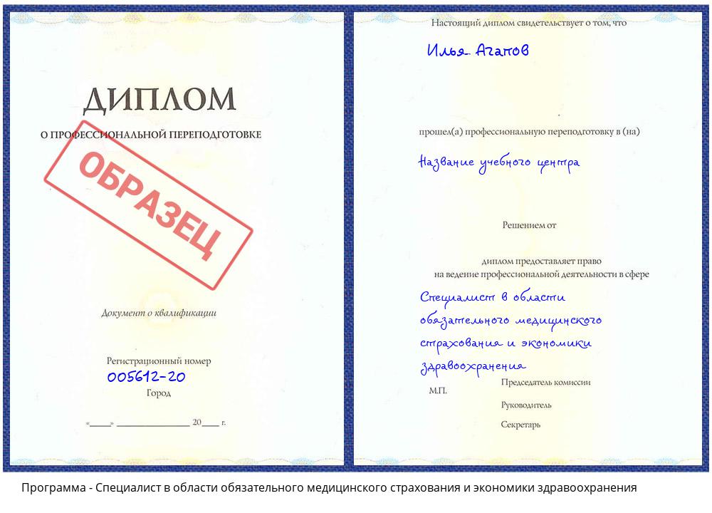 Специалист в области обязательного медицинского страхования и экономики здравоохранения Тамбов