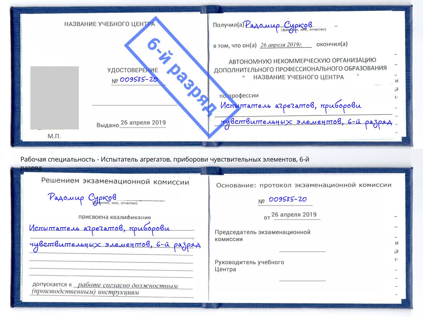 корочка 6-й разряд Испытатель агрегатов, приборови чувствительных элементов Тамбов