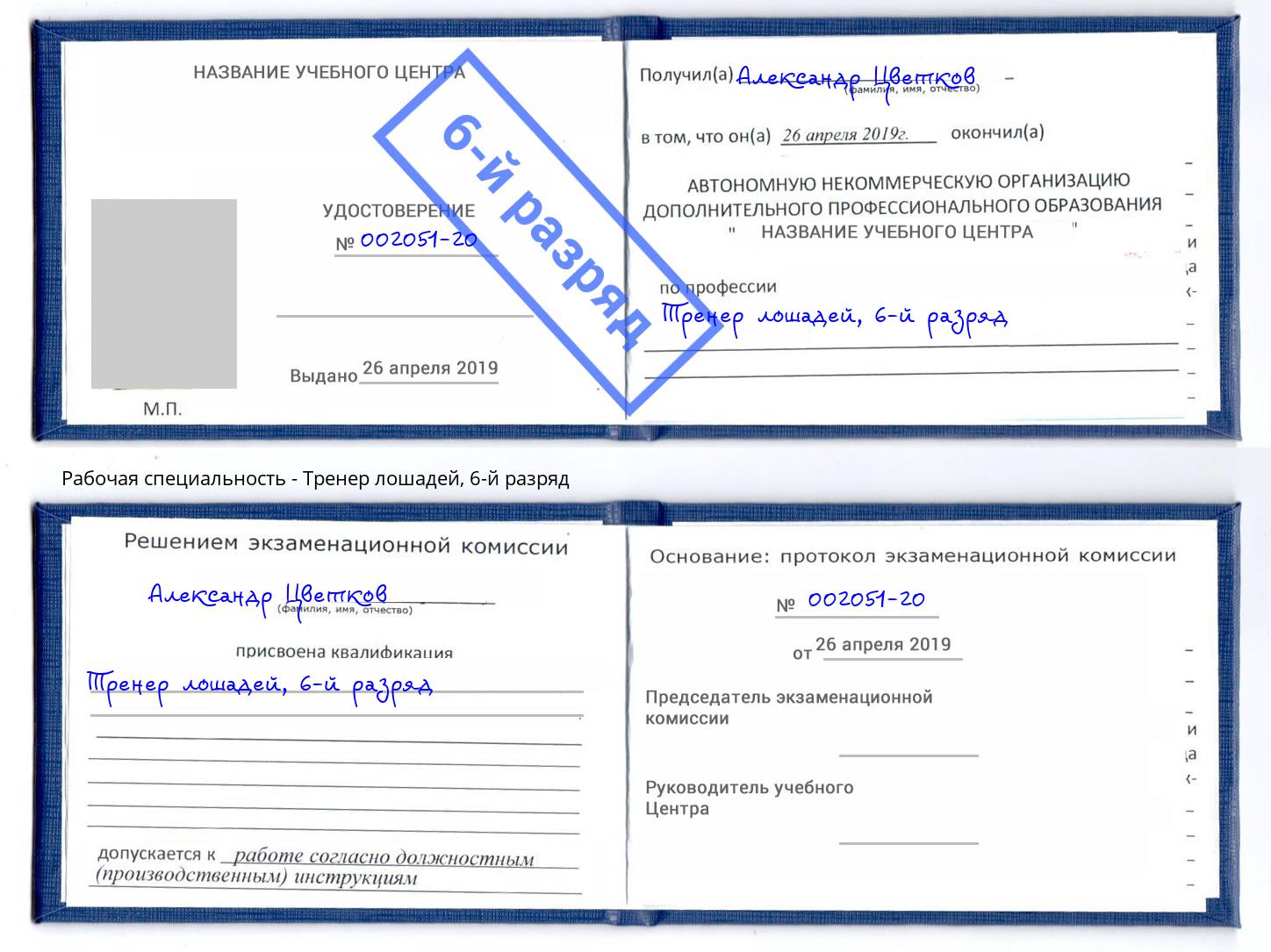 корочка 6-й разряд Тренер лошадей Тамбов