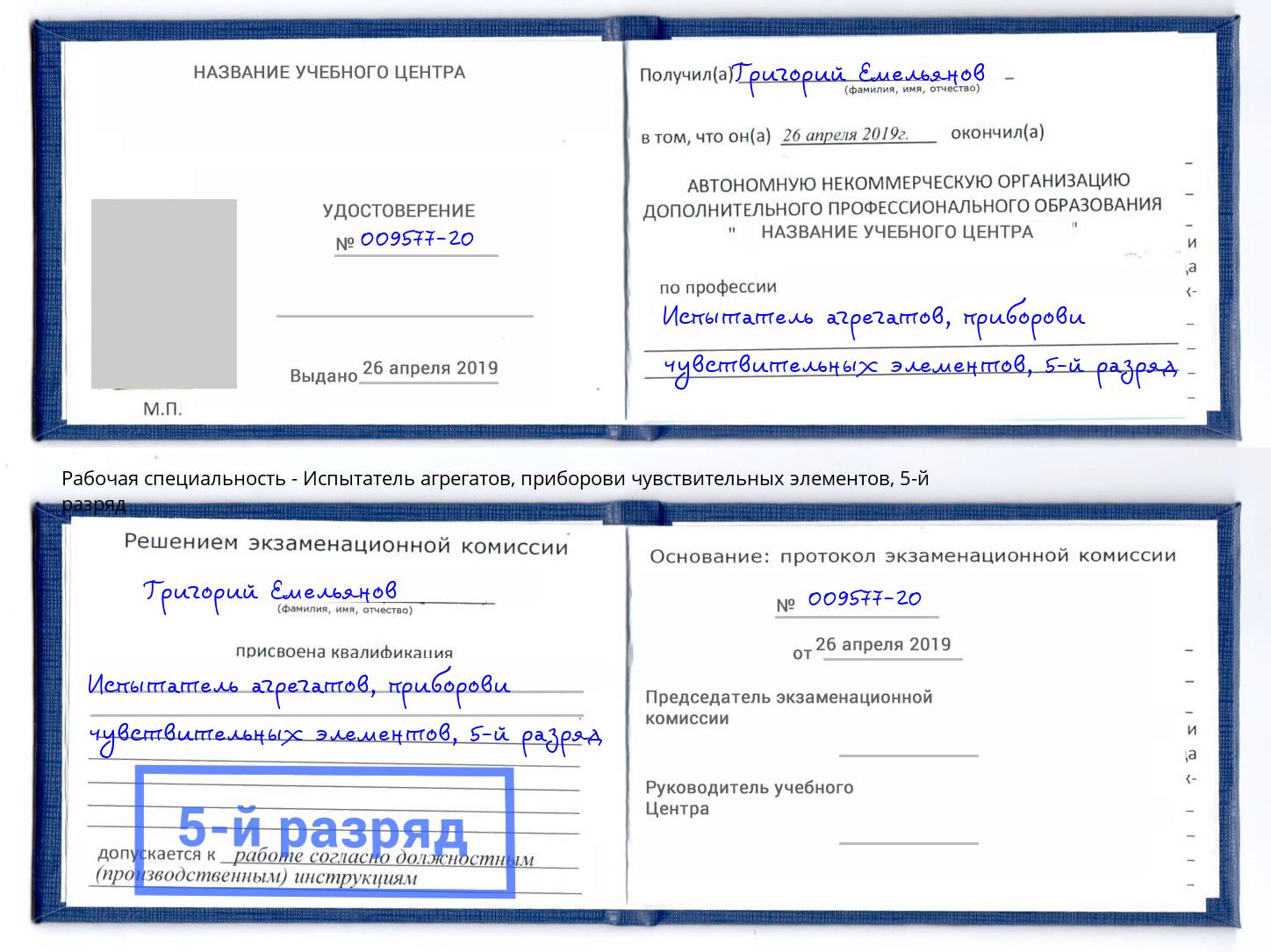 корочка 5-й разряд Испытатель агрегатов, приборови чувствительных элементов Тамбов