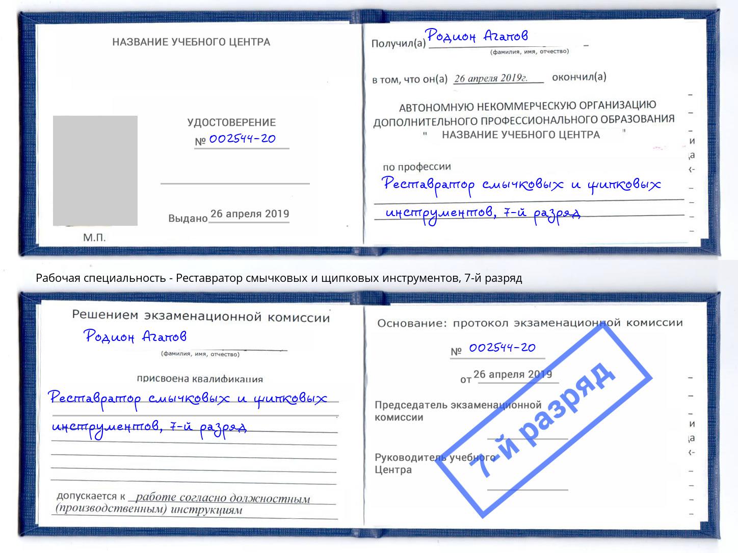 корочка 7-й разряд Реставратор смычковых и щипковых инструментов Тамбов