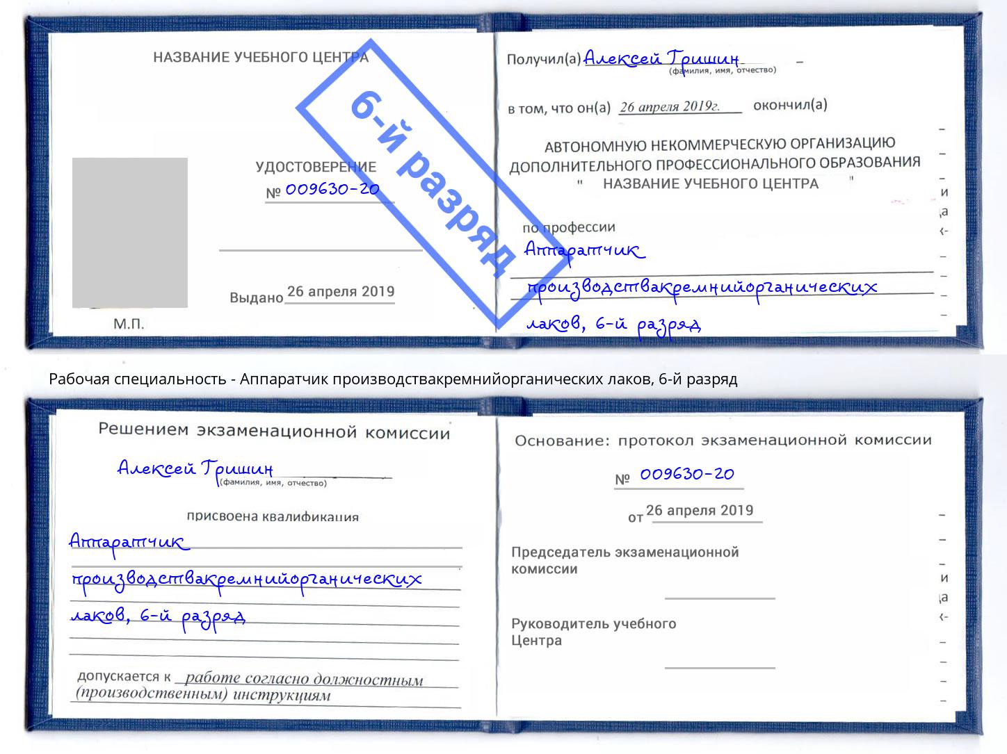 корочка 6-й разряд Аппаратчик производствакремнийорганических лаков Тамбов